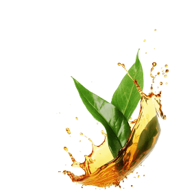 Кавомашина Б/В Melitta CaffeO Varianza CSP Black